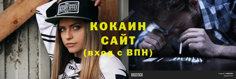 Cocaine FishScale  Закаменск 